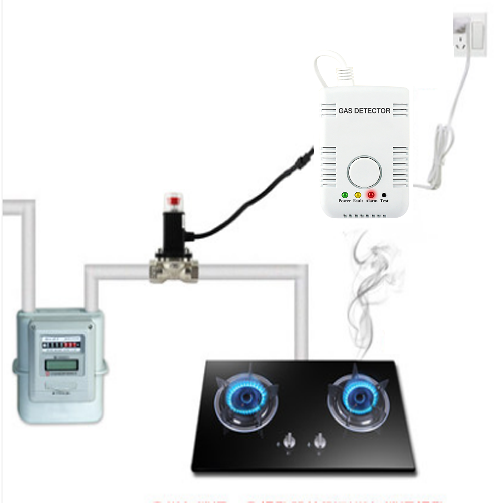 Home Security Monitoring - Gas Leak Detector Combustible LPG Methane