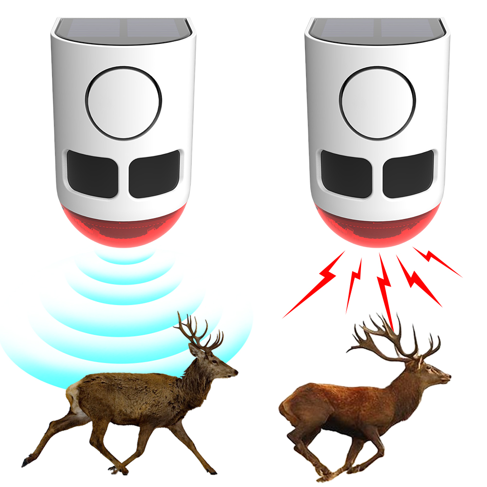 Solar Outdoor Motion Sensor Al - Home Security Lights Outdoors ulasan dan harga