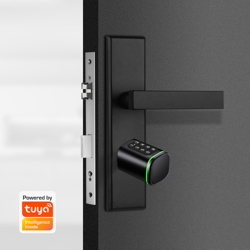 Smart Cylinder Lock Tuya 60-90 - Home Security Packages ulasan dan harga