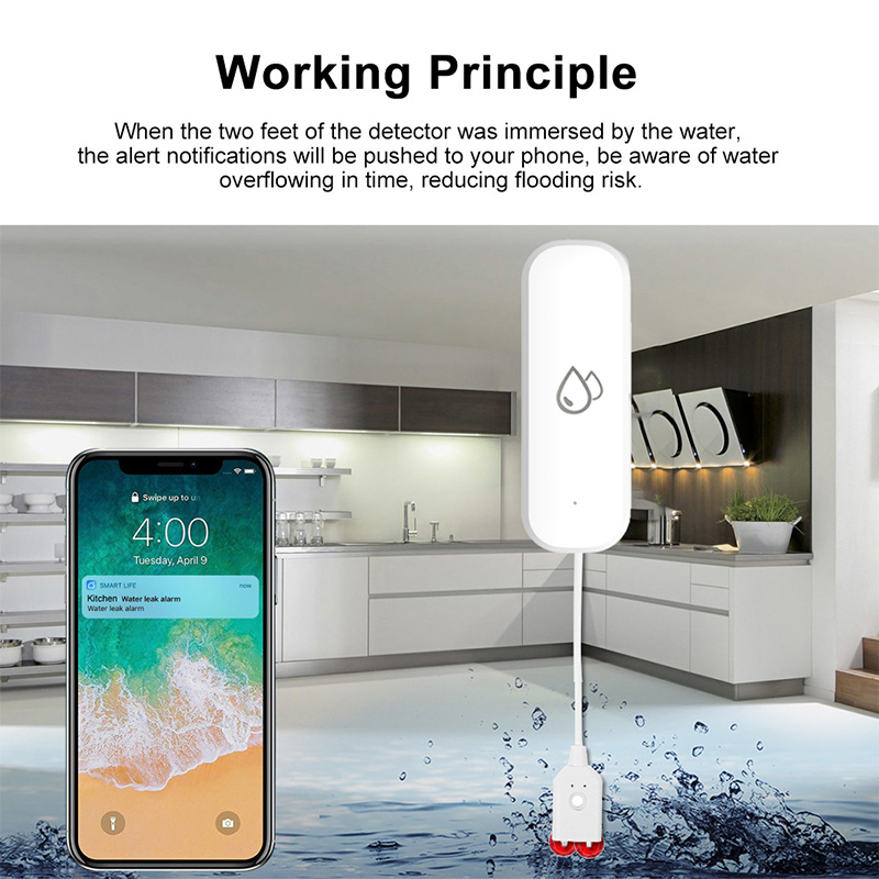 Tuya WiFi Water Leakage Alarm  - Home Security Monitoring ulasan dan harga