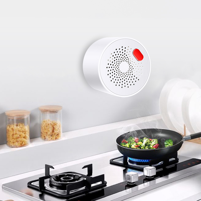 Tuya Smart Home Wifi Natural G - Home Security With Ai ulasan dan harga