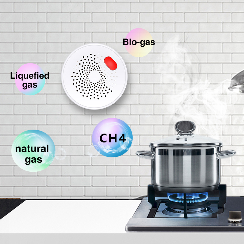 Tuya Smart Home Wifi Natural G - Home Security With Ai ulasan dan harga