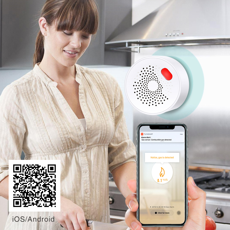 Tuya Smart Home Wifi Natural G - Home Security With Ai ulasan dan harga
